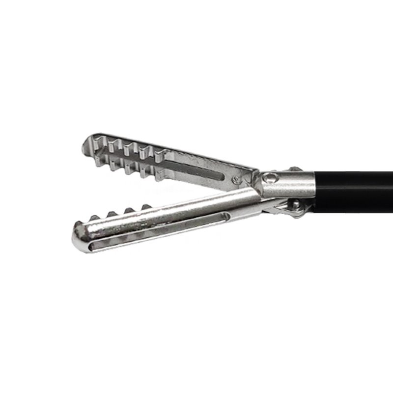 নিষ্পত্তিযোগ্য